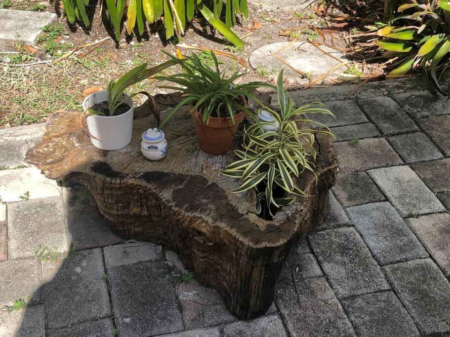 Private Room In The Heart Of Calle Ocho Miami Exterior photo